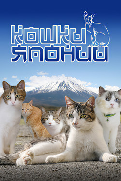 Кошки Японии - смотреть онлайн