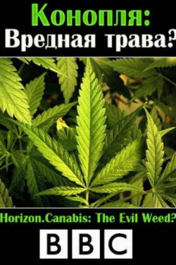 BBC: Конопля: вредная трава? - смотреть онлайн