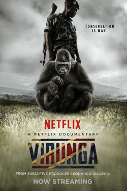 Вирунга - смотреть онлайн