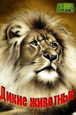 Планета животных - смотреть онлайн