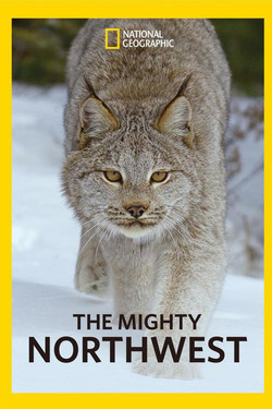 Nat Geo Wild: Прекрасная Америка: Величественный Северо-Запад - смотреть онлайн