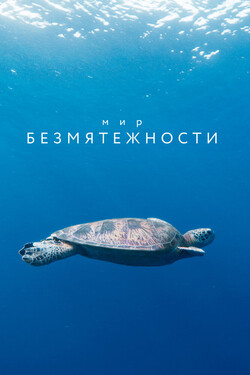 Мир безмятежности - смотреть онлайн