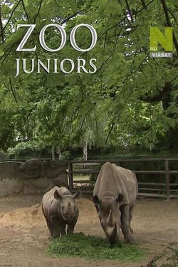 Новорожденные в зоопарке - смотреть онлайн