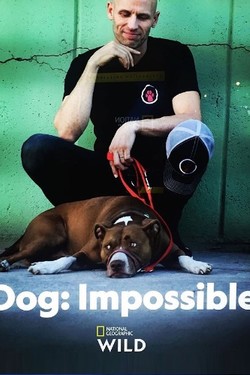 Собака: Невозможное возможно - смотреть онлайн