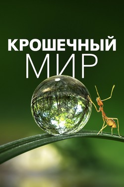 Крошечный мир - смотреть онлайн