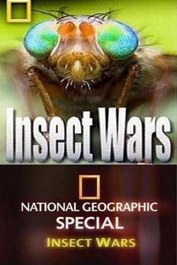 National Geographic. Войны насекомых - смотреть онлайн