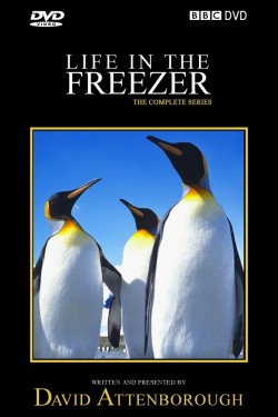 Жизнь в морозильнике - смотреть онлайн