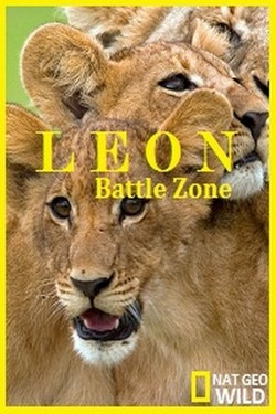 National Geographic. Война львов - смотреть онлайн