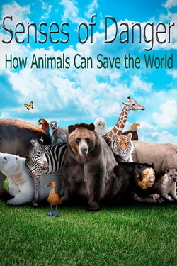 Чутье: как животные спасают мир - смотреть онлайн