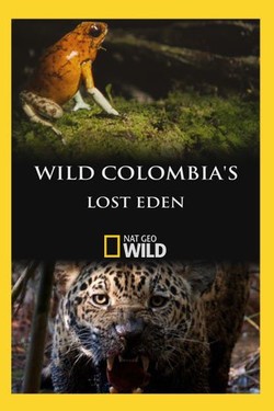 Nat Geo Wild: Потерянный рай Колумбии - смотреть онлайн
