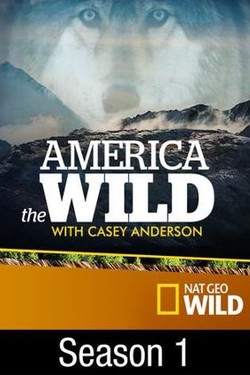 National Geographic. Дикая Америка - смотреть онлайн