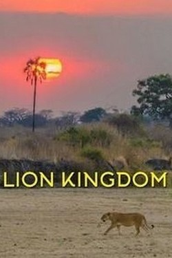 Львиное королевство - смотреть онлайн