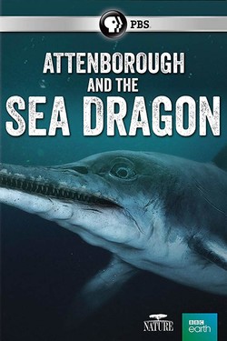 Аттенборо и Морской Дракон - смотреть онлайн