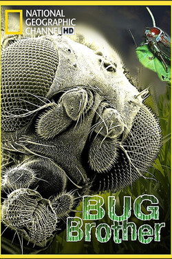 NG: Наши невидимые спутники - смотреть онлайн