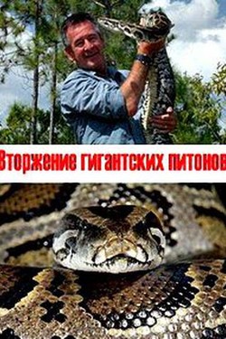 Вторжение гигантских питонов - смотреть онлайн