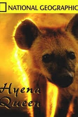 National Geographic. Королева гиен - смотреть онлайн