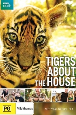 Тигры в доме - смотреть онлайн