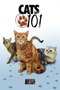 Энциклопедия кошек - смотреть онлайн