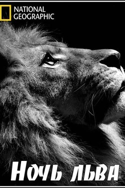 Nat Geo Wild: Ночь льва - смотреть онлайн