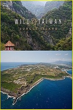 Дикая природа Тайваня: остров джунглей - смотреть онлайн