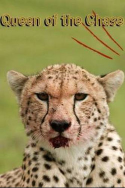 National Geographic. Королева скорости - смотреть онлайн