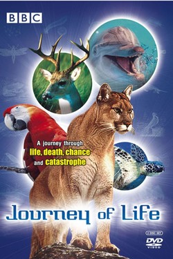 BBC: Эволюция жизни - смотреть онлайн