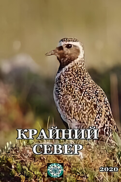 Крайний север - смотреть онлайн