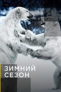 Зимний сезон - смотреть онлайн