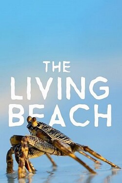 Живой пляж - смотреть онлайн