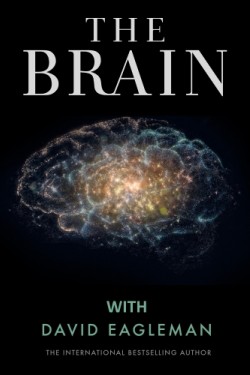 Мозг с Дэвидом Иглменом - смотреть онлайн