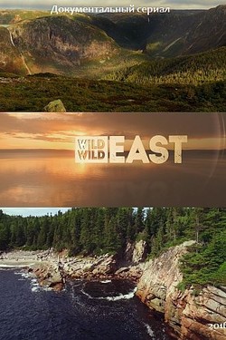 Дикий, дикий Восток - смотреть онлайн