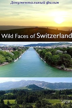 Дикая Швейцария - смотреть онлайн