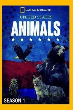 Viasat Nature: Соединенные Штаты Животных - смотреть онлайн