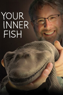 Внутренняя рыба - смотреть онлайн