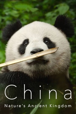 BBC. Китай: Древнее Царство Природы - смотреть онлайн