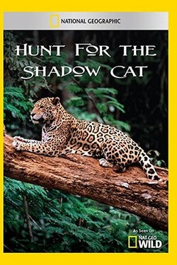 NG: В поисках неуловимой кошки - смотреть онлайн