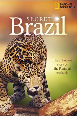 NG. Неизвестная Бразилия - смотреть онлайн