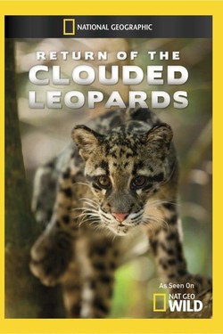 National Geographic. Возвращение дымчатых леопардов - смотреть онлайн