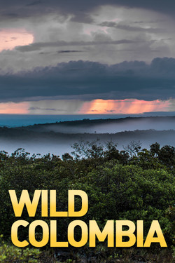 National Geographic. Дикая Колумбия - смотреть онлайн
