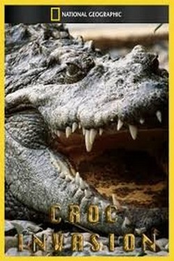 National Geographic. Нашествие крокодилов - смотреть онлайн