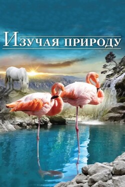 Изучая природу - смотреть онлайн