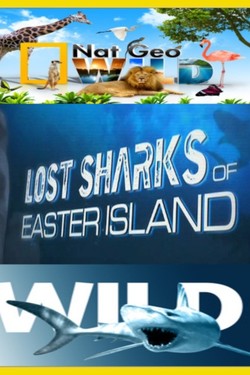 Nat Geo Wild: Потерянные акулы острова Пасхи - смотреть онлайн