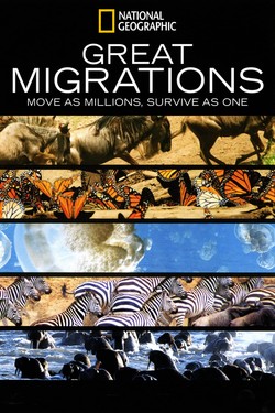 Великие миграции - смотреть онлайн