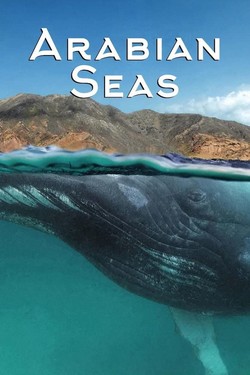 Моря Аравийского полуострова - смотреть онлайн