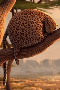 Круглое сафари - смотреть онлайн