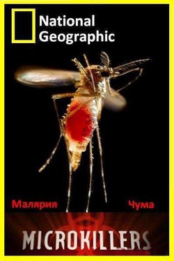 NG: Микроскопические убийцы - смотреть онлайн