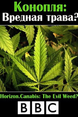 BBC. Конопля: вредная трава? - смотреть онлайн