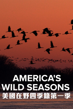 Времена года в дикой природе Америки - смотреть онлайн