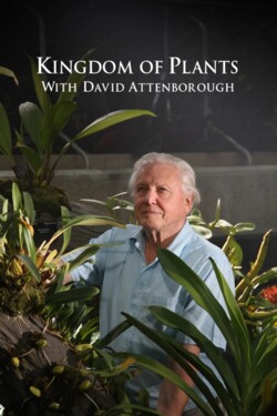 В королевстве растений - смотреть онлайн
