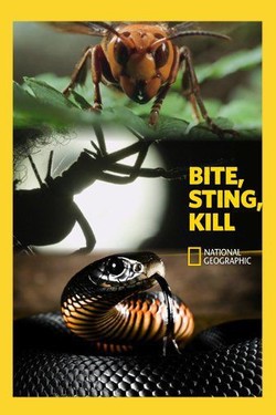 Nat Geo Wild: Укусить. Ужалить. Убить: Монстры в тени - смотреть онлайн